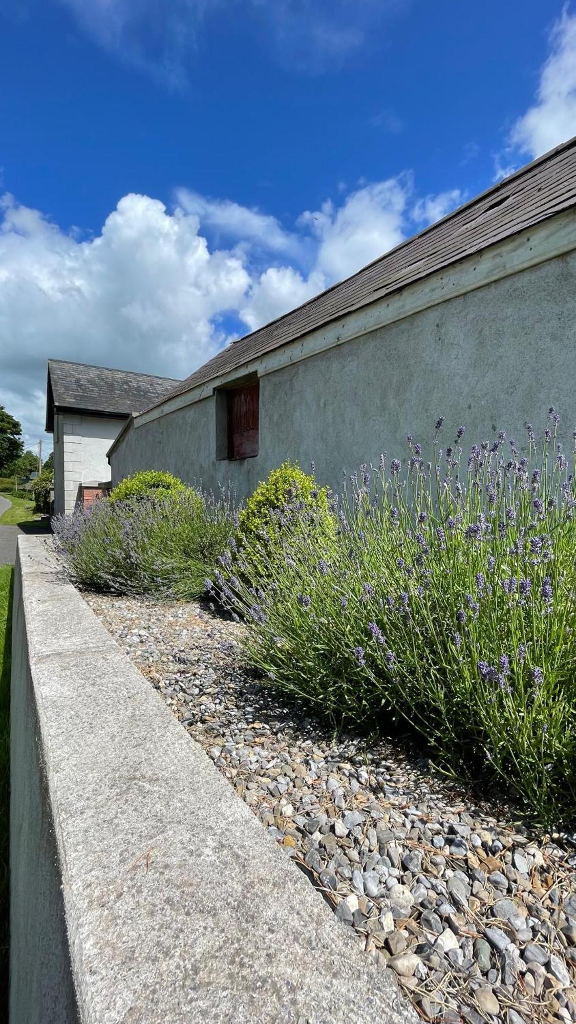 Ladyrath Holiday home *